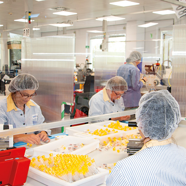 Pandemie Kennzeichnung kohlpharma Mitarbeiter in Schutzkleidung sortieren gelbe Probenrohrkappen auf einem Tisch in der Pandemie.